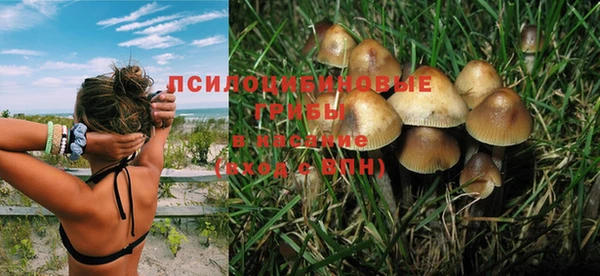 спиды Армянск
