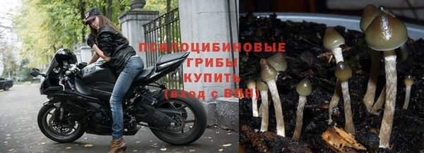 спайс Аркадак