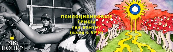 спиды Армянск