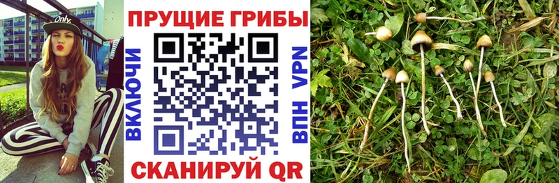 Псилоцибиновые грибы ЛСД  наркошоп  Салават 